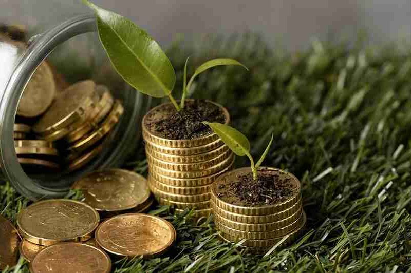 MyGreenBucks Kenneth Jones: A Gateway to Sustainable Financial Growth